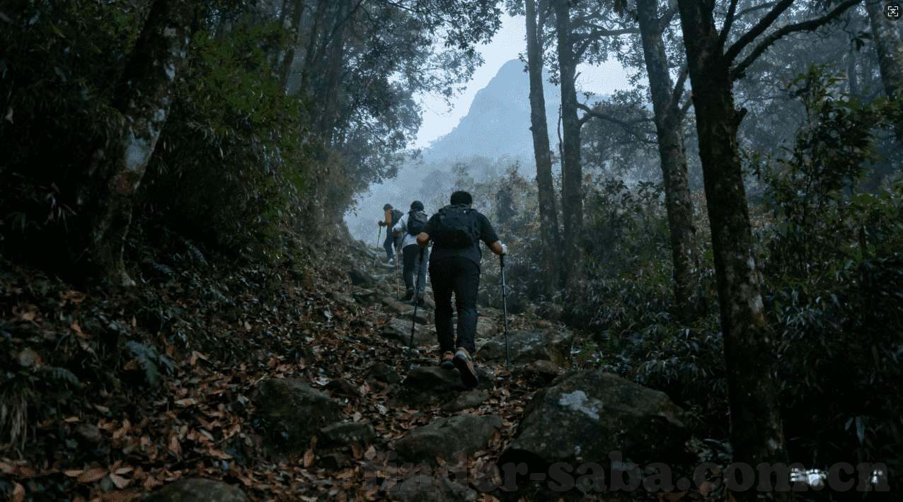 浙江快3计划网页-探索浙江快3计划网页，解密彩票游戏的数字秘密